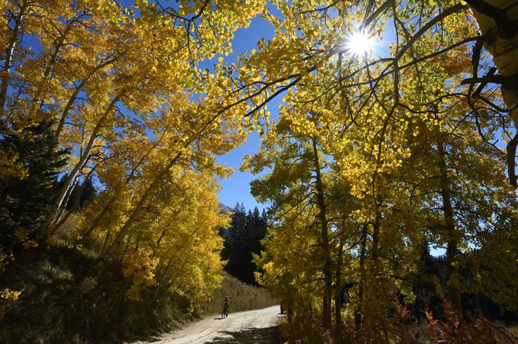 Peak leaf peeping season begins in Colorado: Here’s what to know, and how to locate your towed vehicle off  Guanella Pass