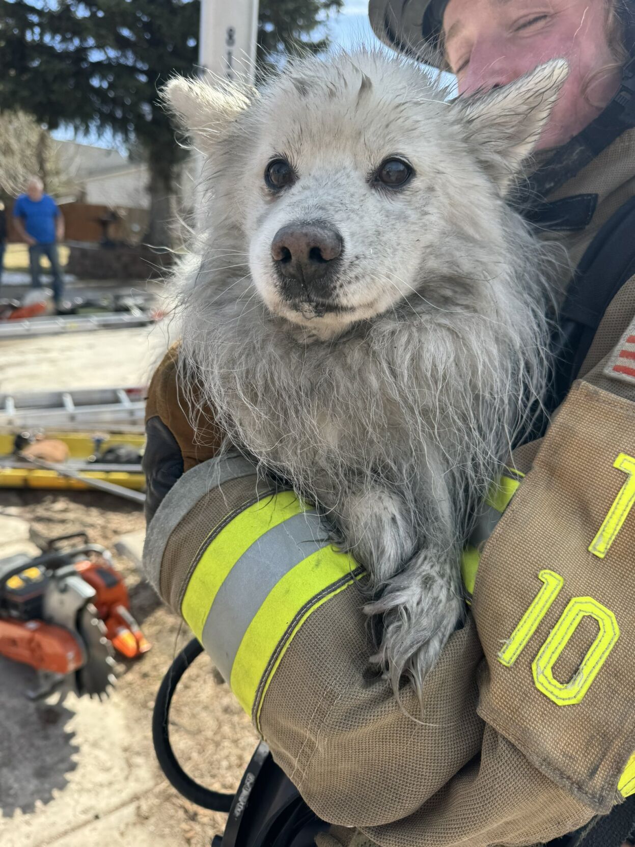 CSFD rescues dog from house fire in southeast Colorado Springs