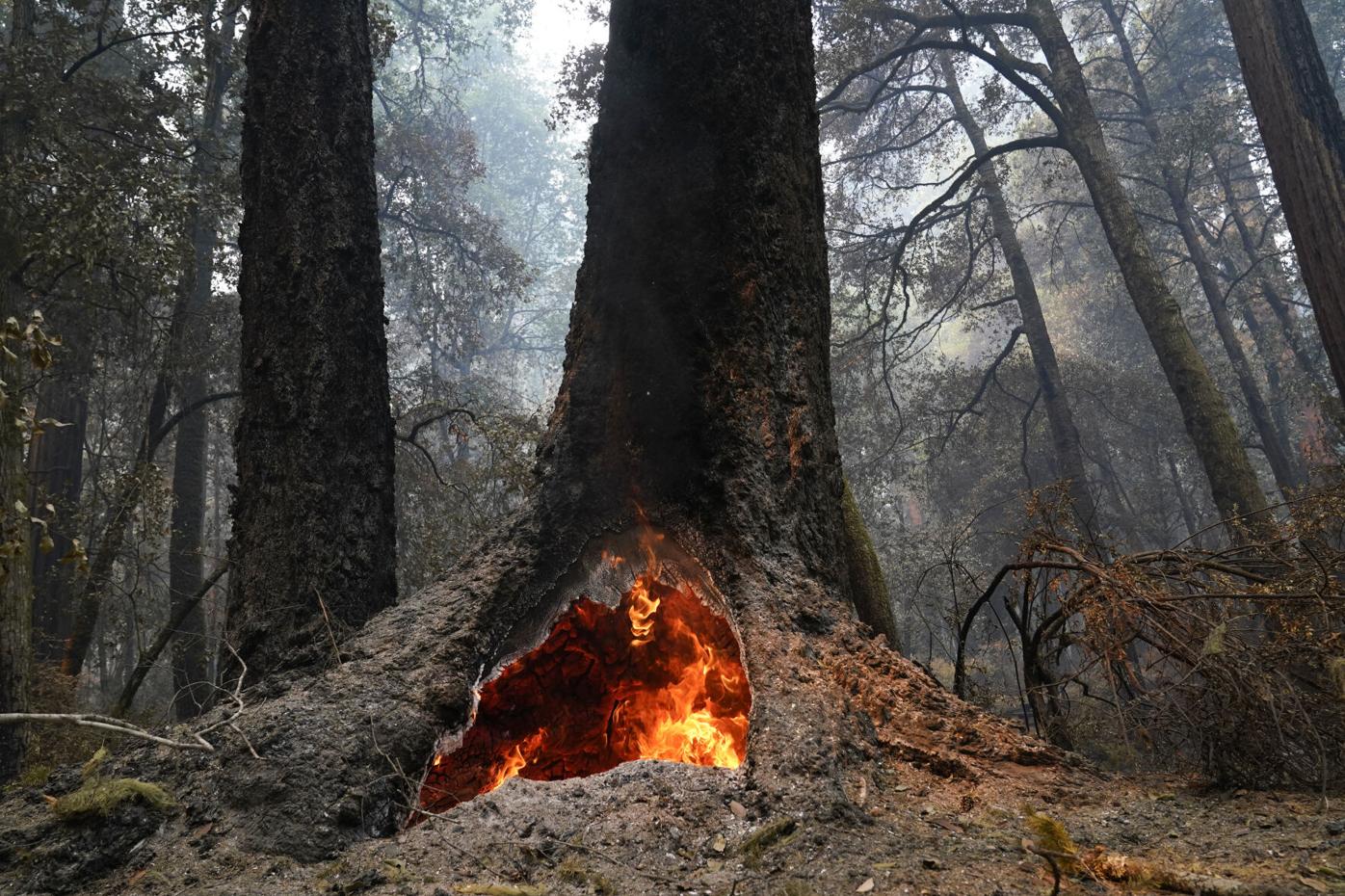 Fire restrictions and bans issued in El Paso, Teller counties
