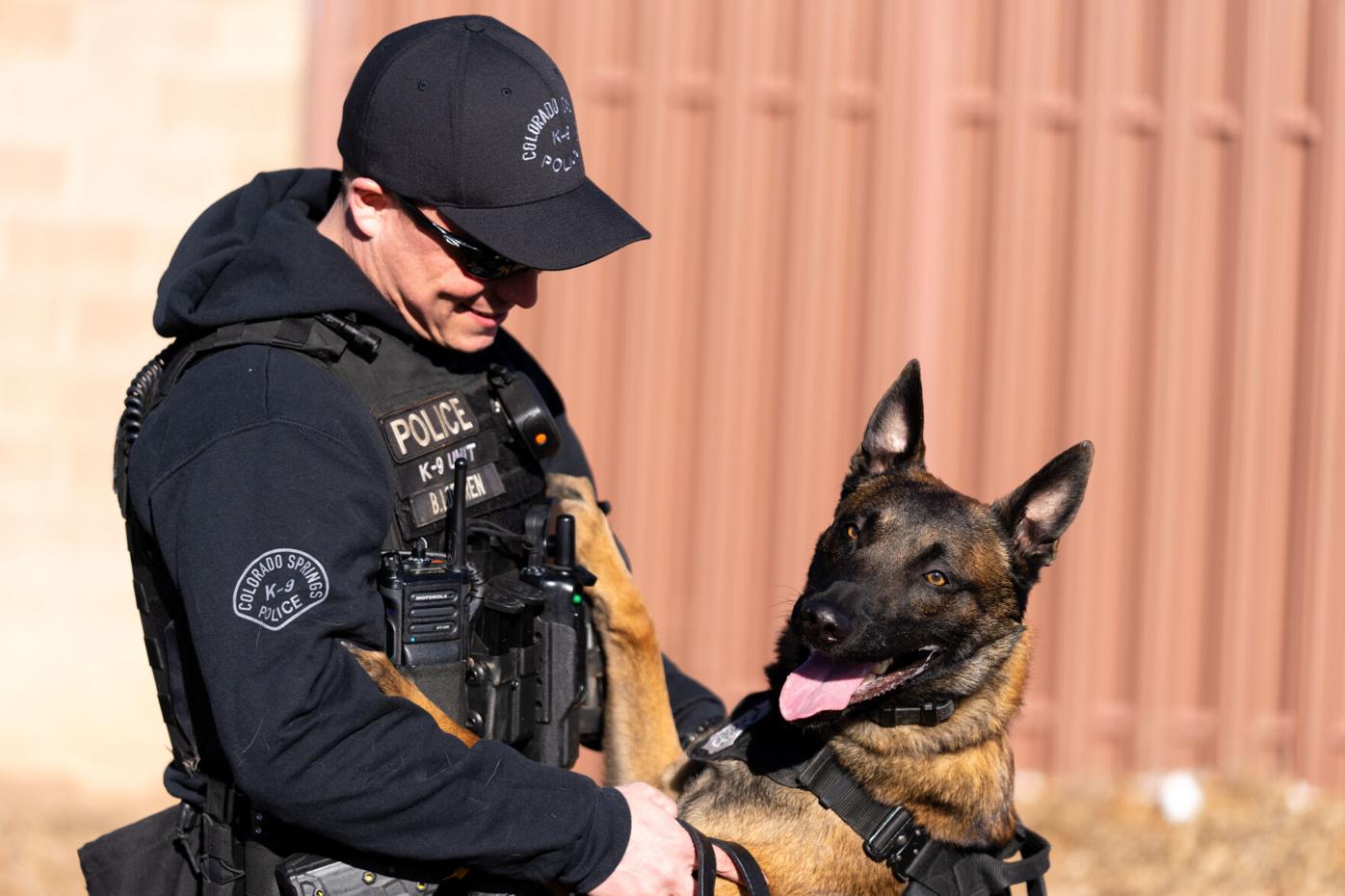 Colorado Springs police K-9 Riggs takes down armed, fleeing suspect