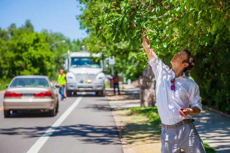 Live Well: Website offers edible map of natural resources in urban areas