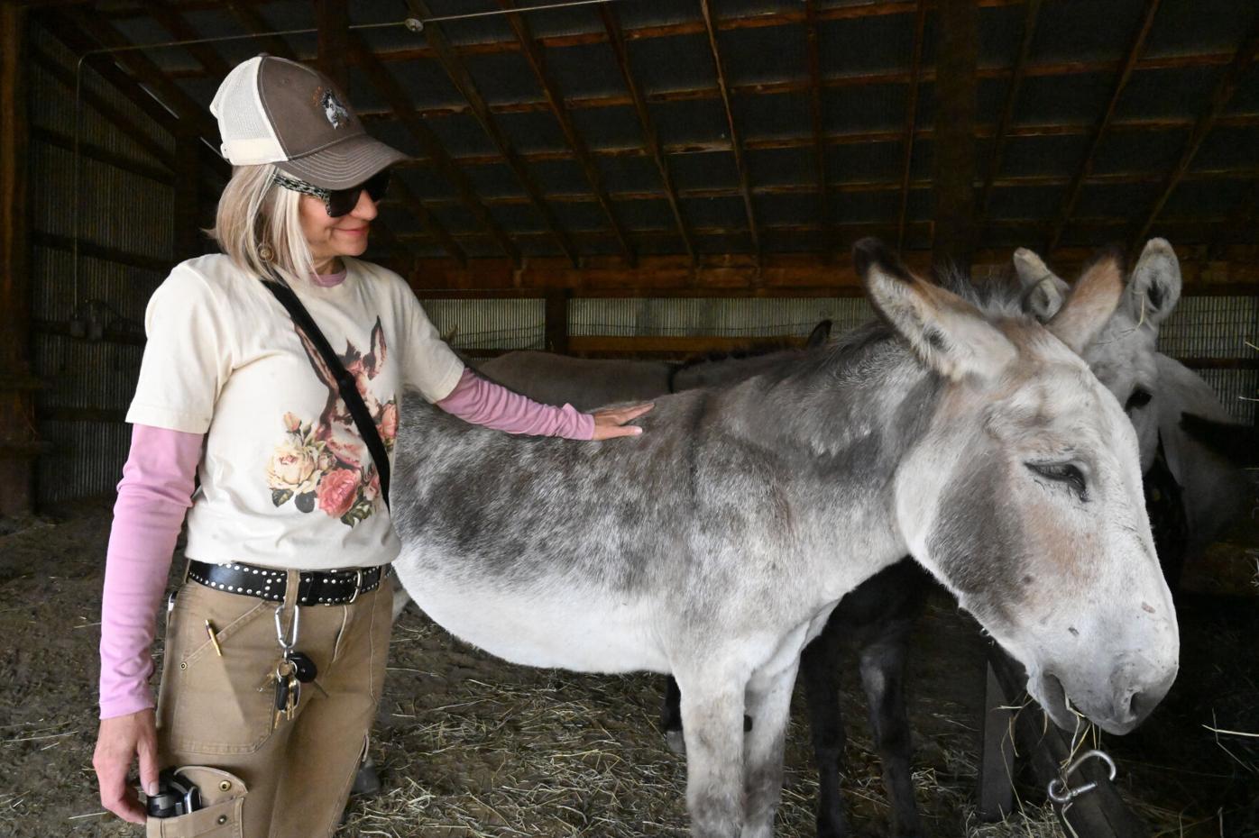 081025-life-donkeys 12.JPG