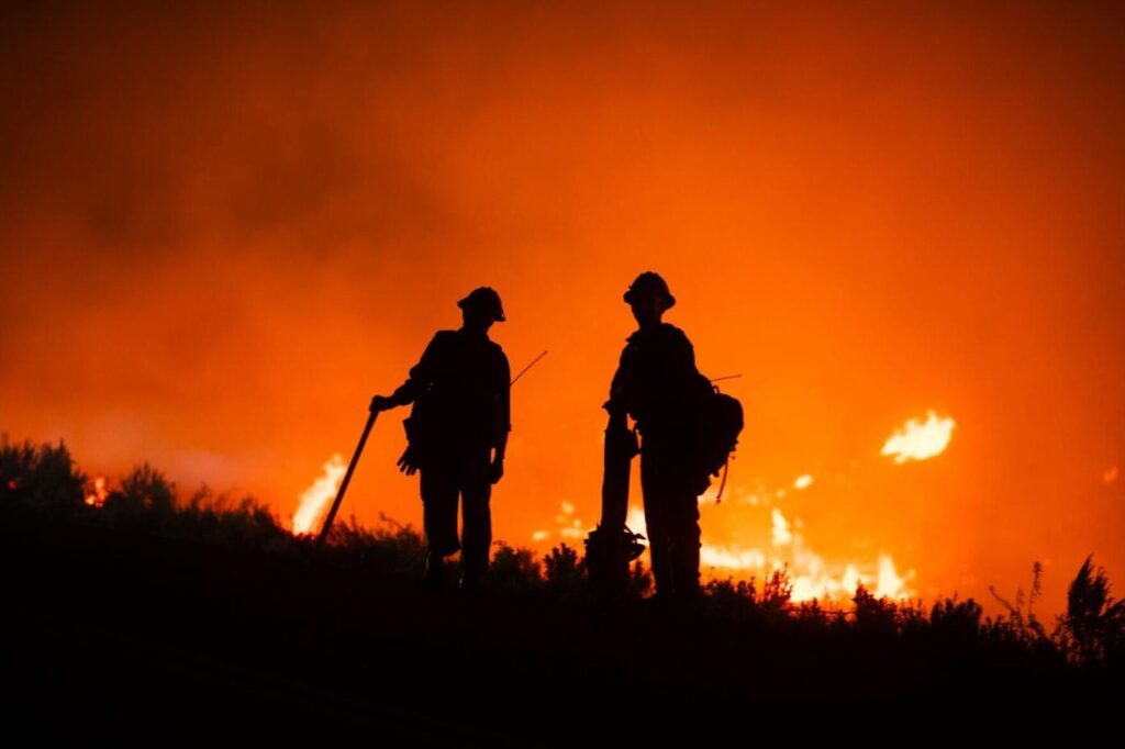 Lee fire (copy)