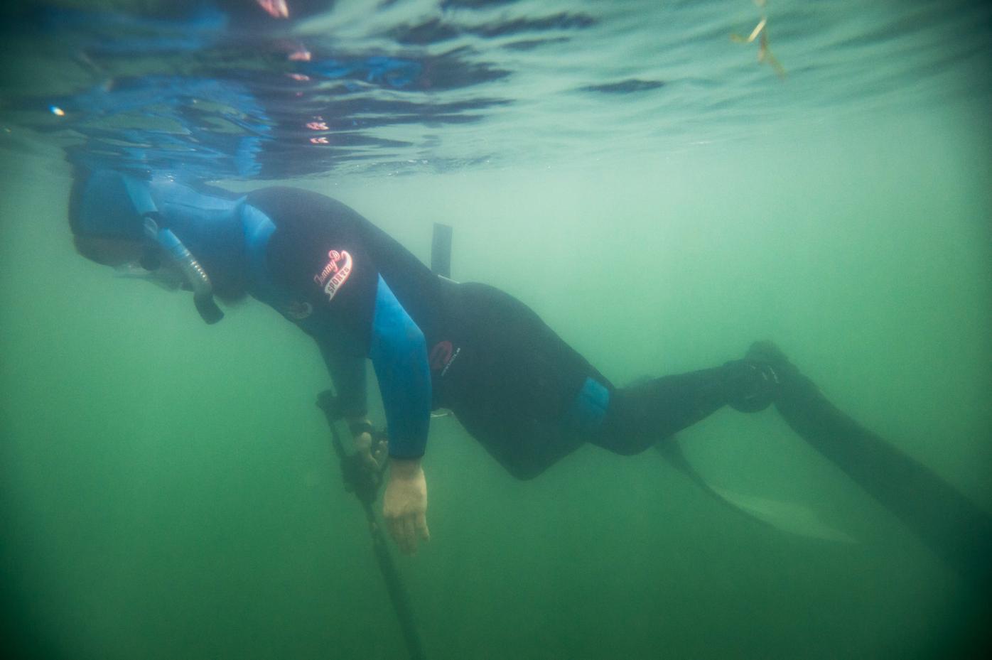 Debate over spearfishing in Colorado continues as petition is rejected