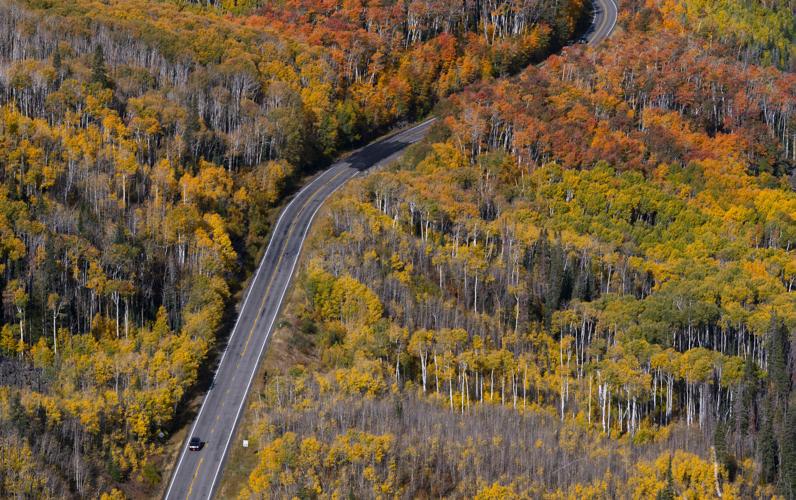 091525-ot-aspens 1.jpg